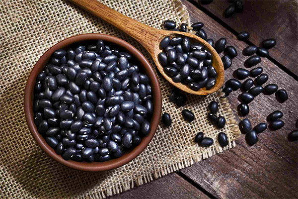 Ciri-ciri berguna kacang hitam