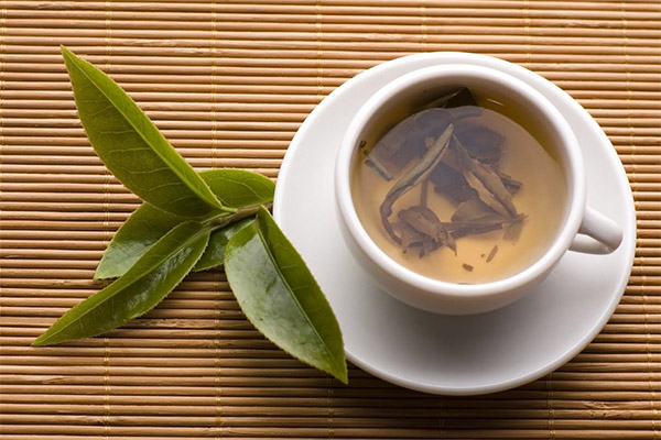 Výhody čaju z bobkového listu