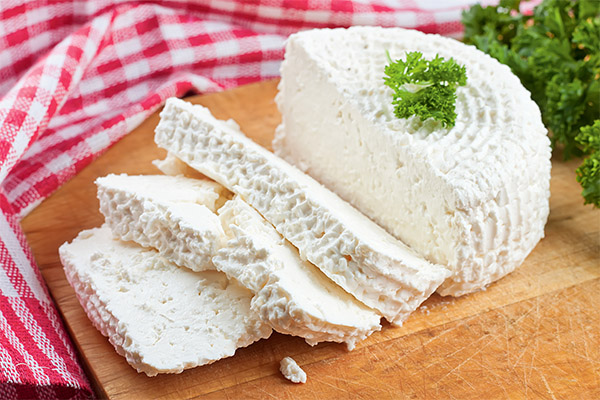 היתרונות והנזקים של גבינת Adyghe