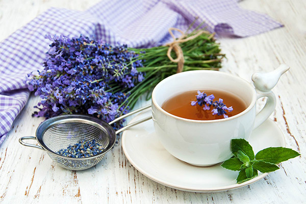 Výhody a poškození čaje z levandule
