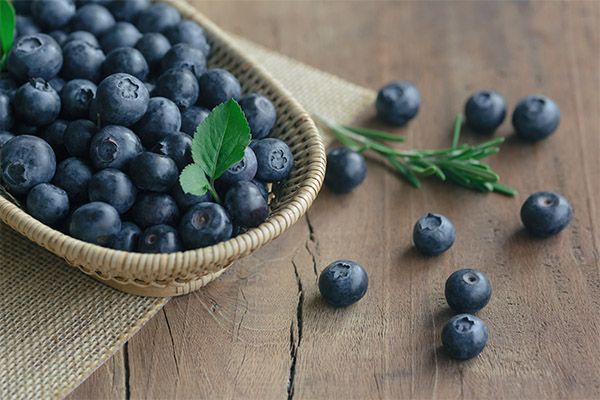 Kebaikan dan keburukan blueberry