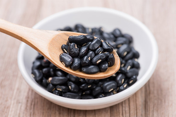 Výhody a poškození černé fazole