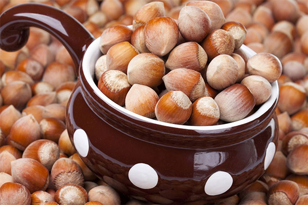 Manfaat dan bahaya dari kacang hazel