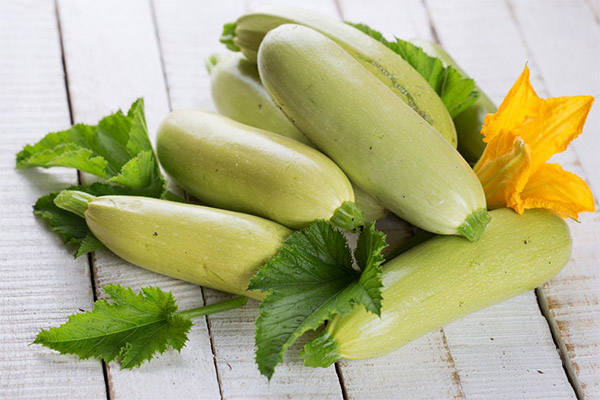 Die Vor- und Nachteile von Zucchini