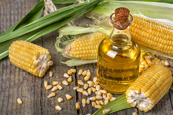 Korzyści i szkody z oleju kukurydzianego