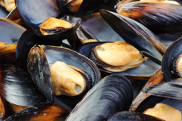 Fördelarna och skadorna av musslor