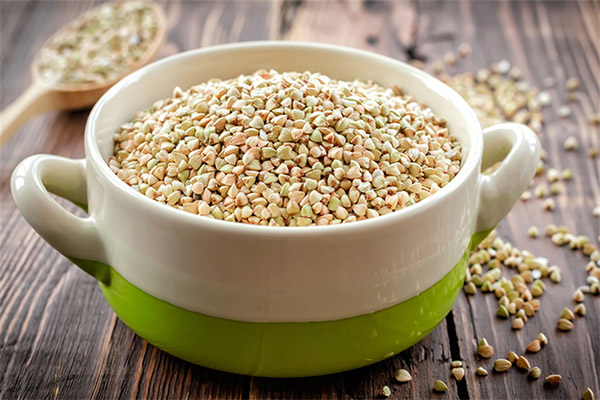 Os benefícios e malefícios do trigo sarraceno verde