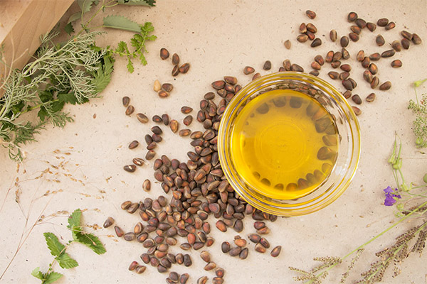 Recepty tradiční medicíny na cedrovém oleji