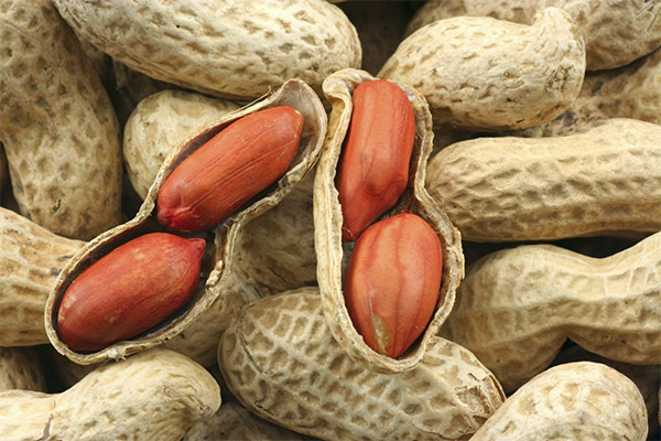 Receitas de medicina tradicional à base de amendoim