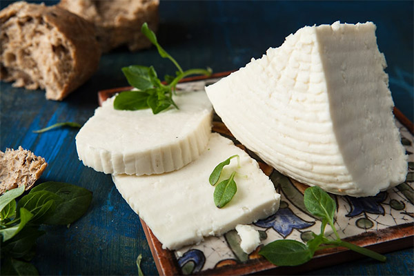 Mit eszik az Adyghe sajt?