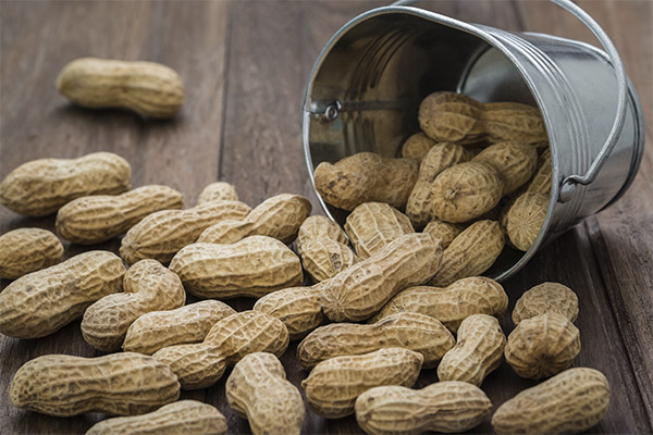 Maapähkinöiden haitat ja vasta-aiheet