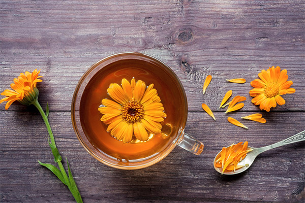 Kuo naudinga kalendros arbata?