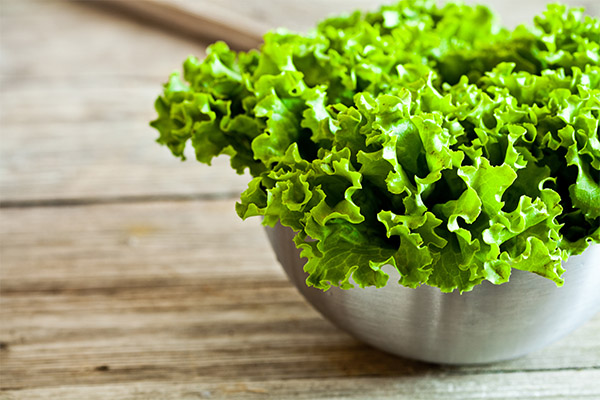 Hva er nyttig bladsalat