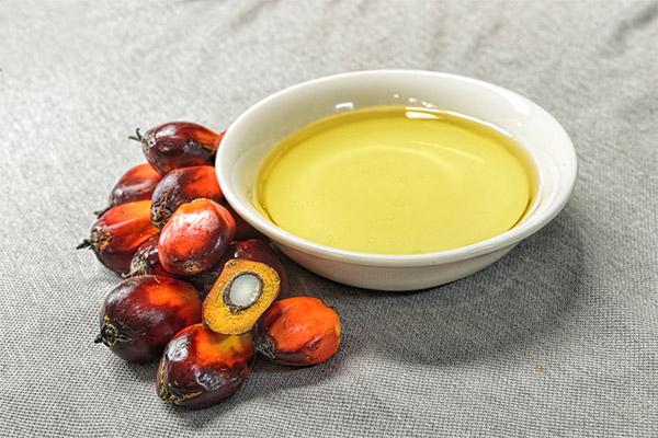 Co je užitečné palmový olej