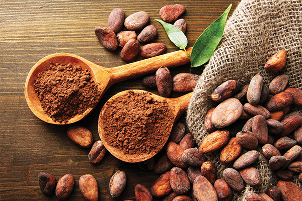 Interessante fakta om kakao