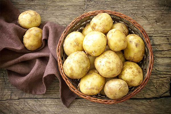 Fatos interessantes sobre batatas