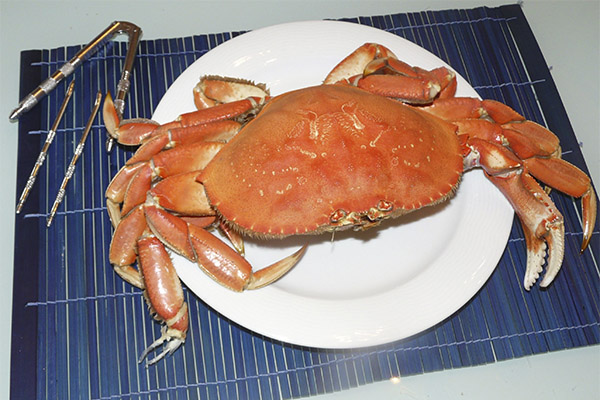 Interessante fakta om krabber