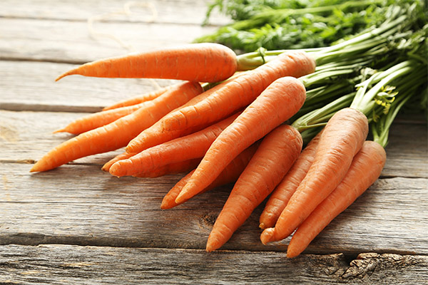 Fatos interessantes sobre cenouras