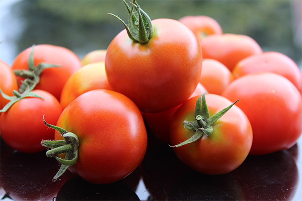 Fakta menarik mengenai tomato