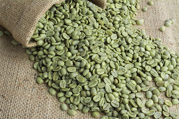 حقائق مثيرة للاهتمام حول القهوة الخضراء