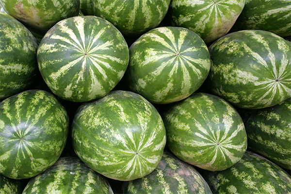Intressanta fakta om vattenmelon