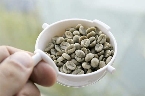 Cara membancuh kopi hijau