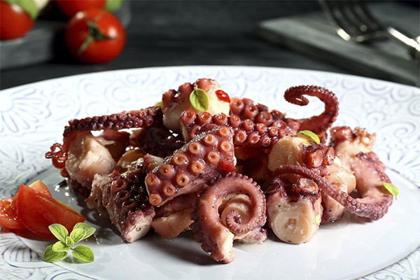 Jak vařit chobotnici