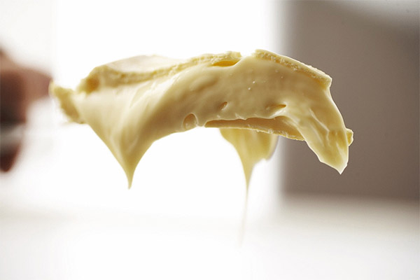 איך להמיס גבינת שמנת