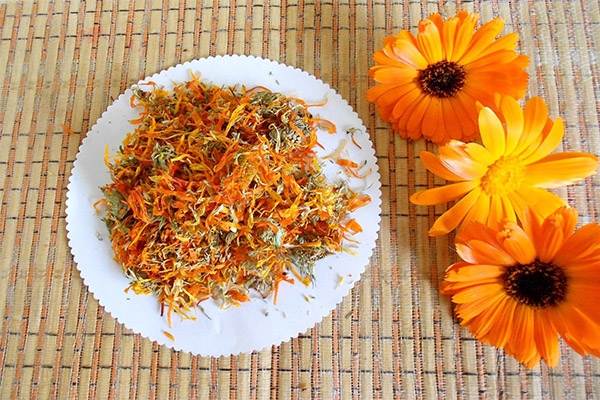 How to collect and how to store calendula