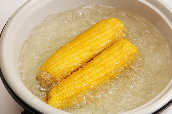 Hogyan főzni kukoricát