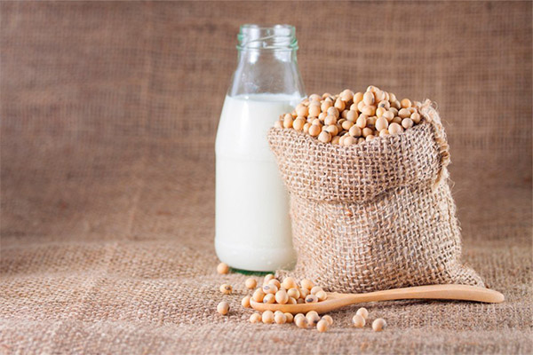 Kako odabrati i pohraniti mlijeko od soje