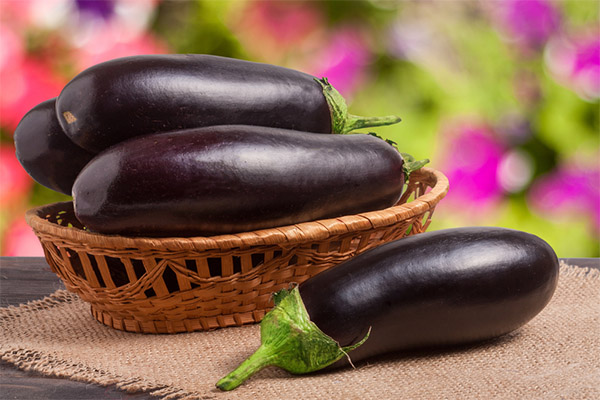 Comment choisir et conserver l'aubergine