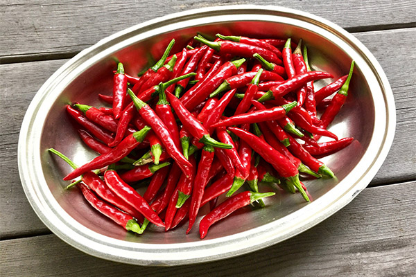 How to choose and store cayenne pepper