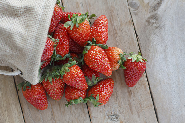 Comment cueillir et conserver les fraises