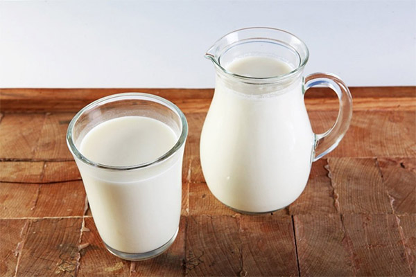 כיצד לבחור ולאחסן חלב עיזים