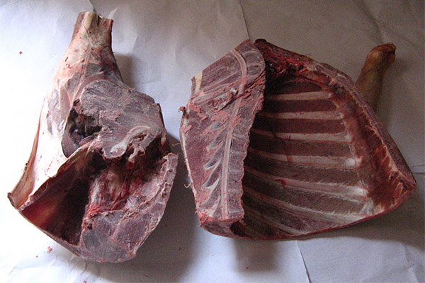 Как да изберем и съхраним дивечово месо