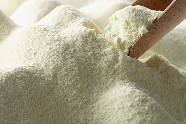 Cara memilih dan menyimpan susu tepung