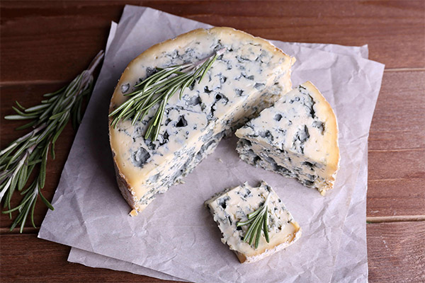 كيفية اختيار وتخزين الجبن الأزرق