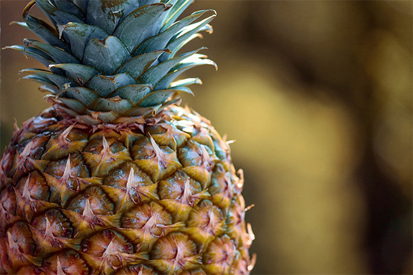 Kako odabrati zreli ananas u trgovini