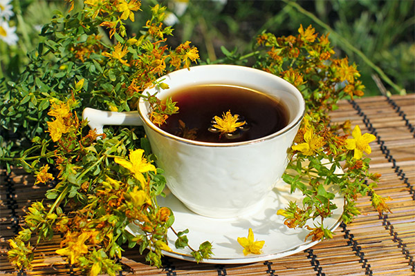 Comment faire du thé à partir d'hypericum
