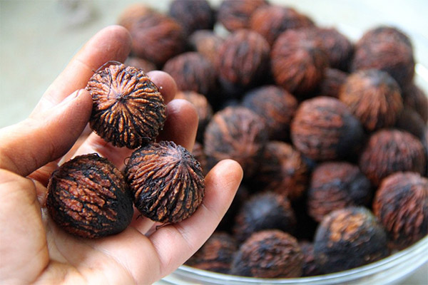 Užitečné vlastnosti černého ořechu
