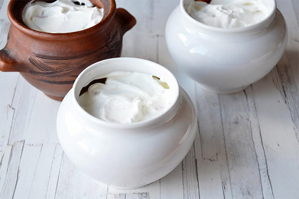 Användbara egenskaper hos yoghurt