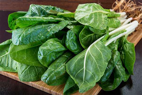 Benefits and uses of chard leaves