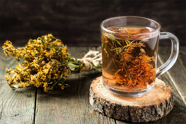Výhody a poškodenie čaju Hypericum