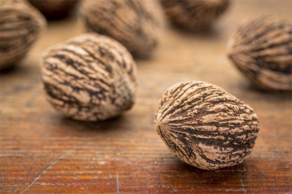 Výhody a poškození černé ořechy