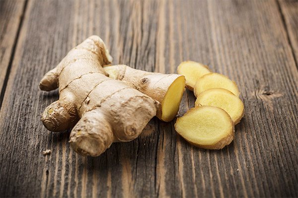 The benefits and harms of ginger root