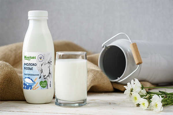 Fördelarna och skadarna med getmjölk