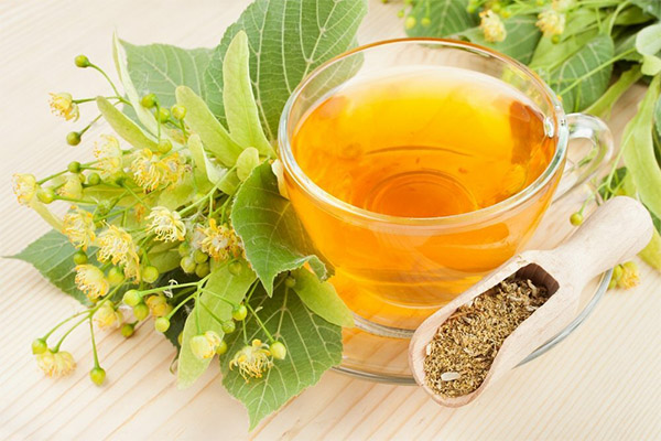 Výhody a poškození lipového čaje