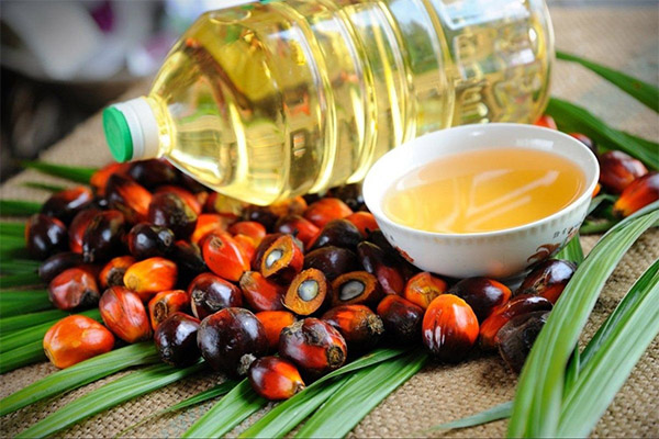 Prednosti i štete palminog ulja