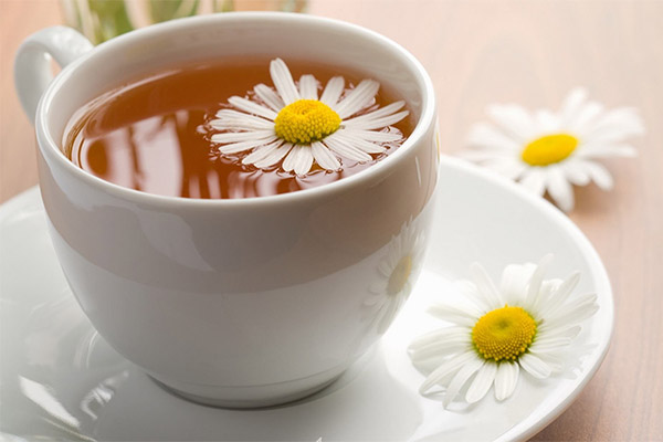 היתרונות והנזקים של תה קמומיל
